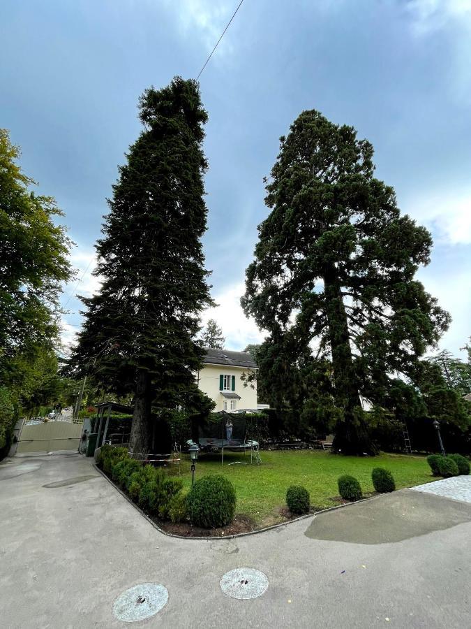 Residence Mont-Blanc Geneve Exteriör bild